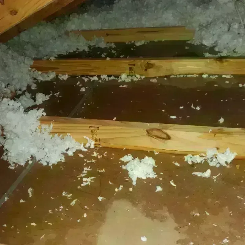 Attic Water Damage in Crocker, WA