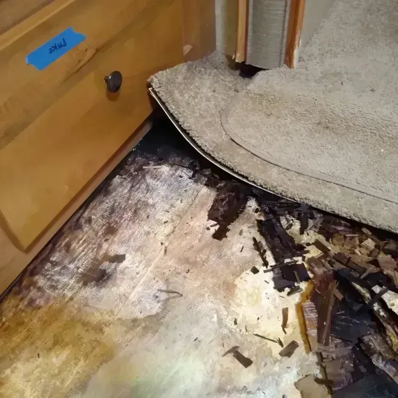 Wood Floor Water Damage in Crocker, WA